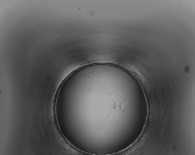 X0000097991182200804011801