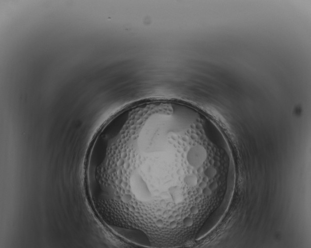 X0000097991183200804011801