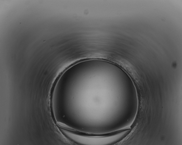 X0000097991184200804011801