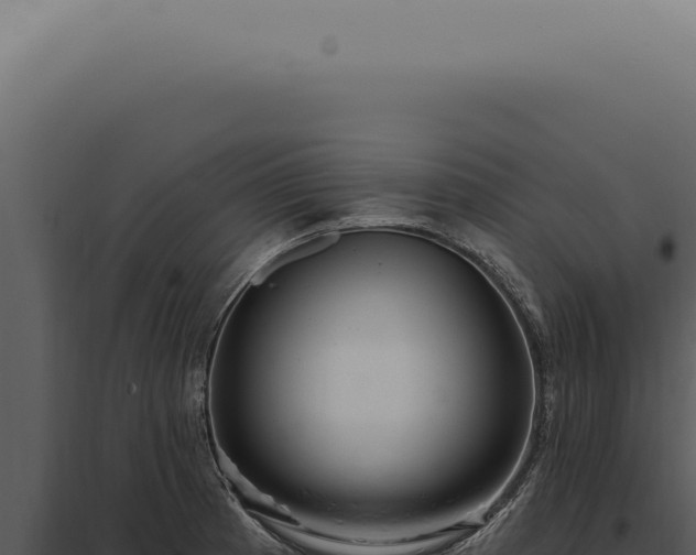 X0000097991185200804011801