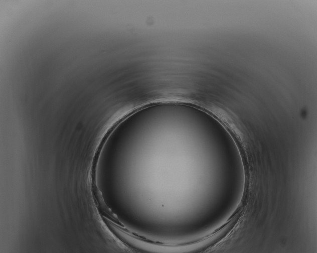 X0000097991189200804011801