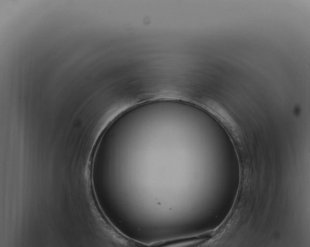 X0000097991190200804011801