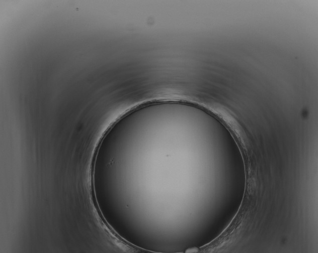 X0000097991191200804011801