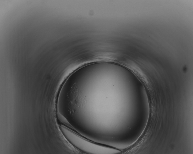 X0000097991192200804011801