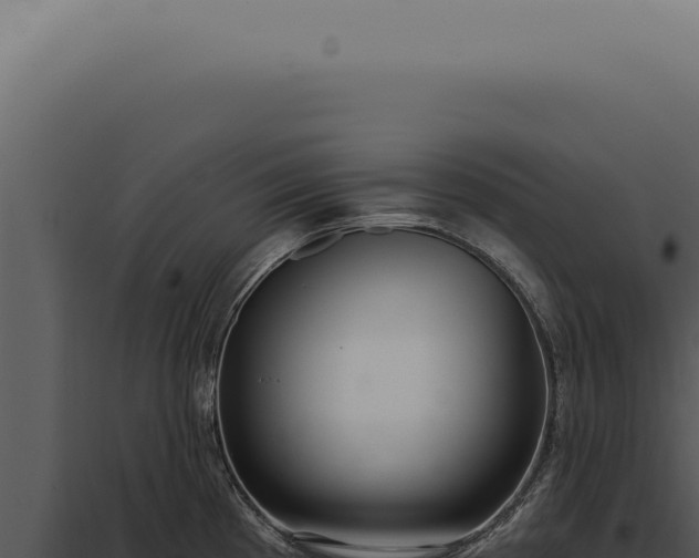 X0000097991193200804011801