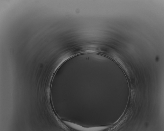 X0000097991194200804011801
