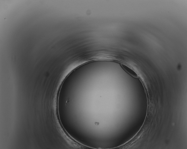 X0000097991195200804011801