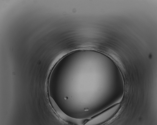 X0000097991196200804011801
