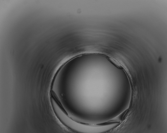 X0000097991197200804011801