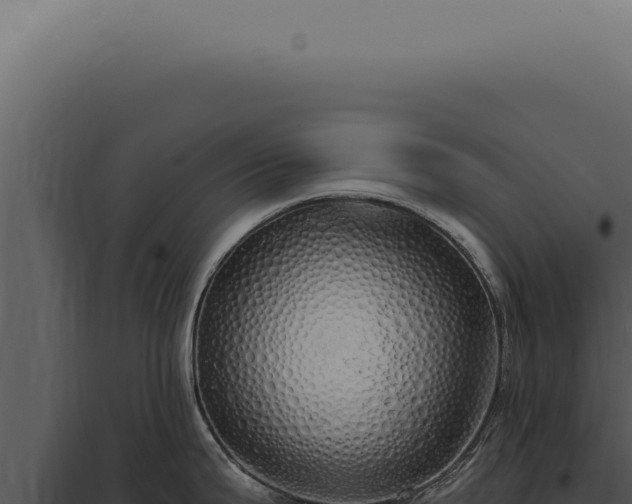 X0000097991199200804011801