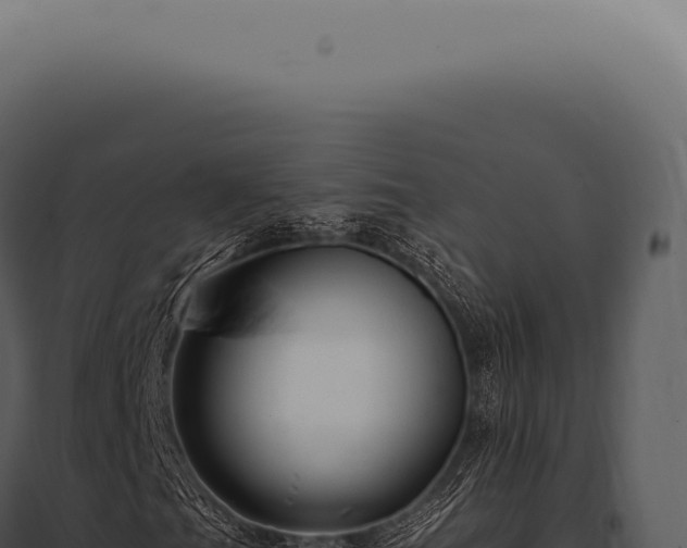 X0000097991201200804011800