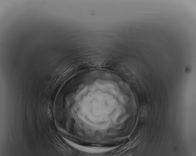 X0000097991202200804011800
