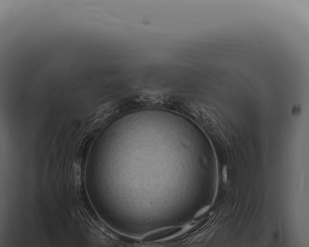 X0000097991203200804011800