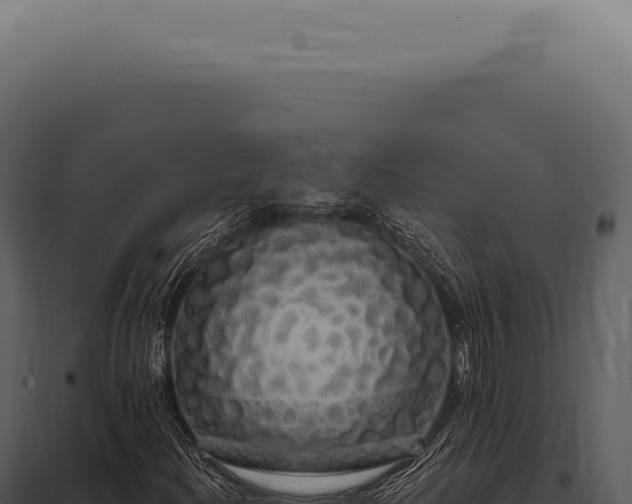 X0000097991204200804011800