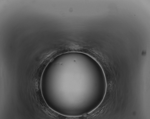 X0000097991205200804011800