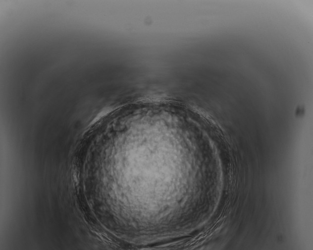 X0000097991206200804011800