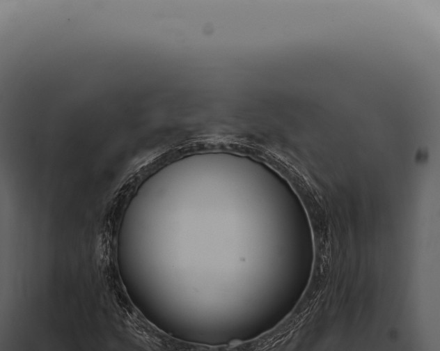X0000097991207200804011800