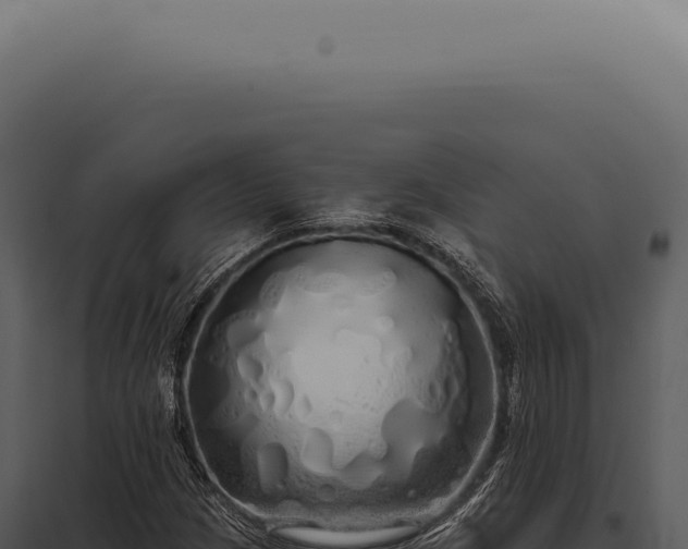 X0000097991209200804011800