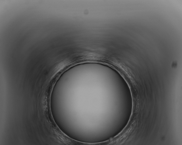 X0000097991211200804011800