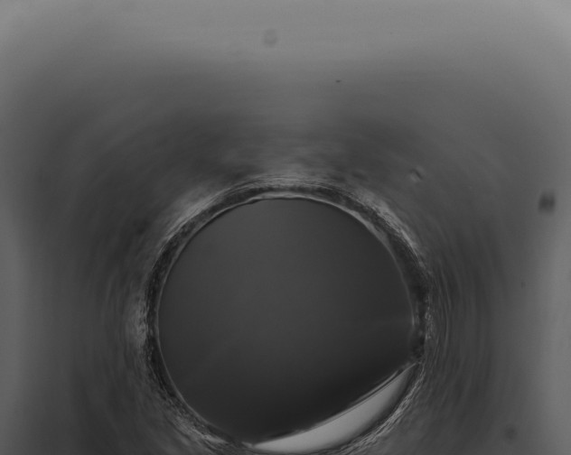 X0000097991213200804011800