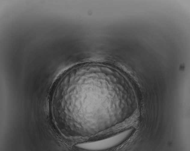 X0000097991214200804011800