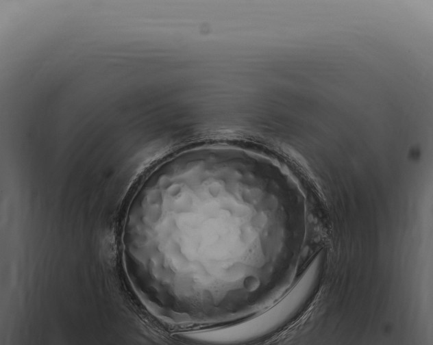 X0000097991218200804011801