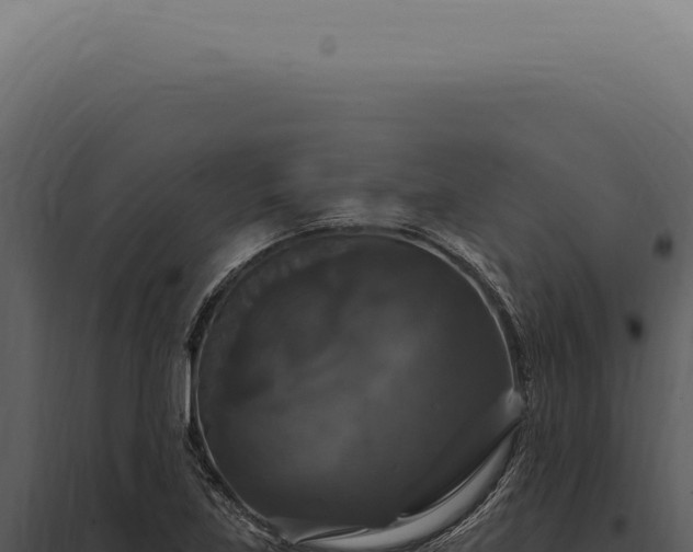 X0000097991219200804011801