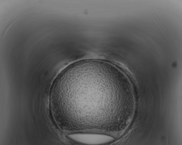 X0000097991220200804011801