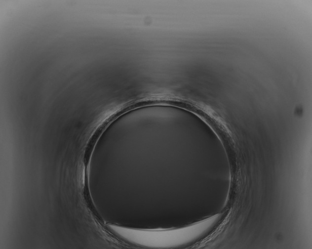 X0000097991221200804011801