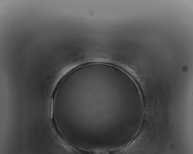 X0000097991223200804011801