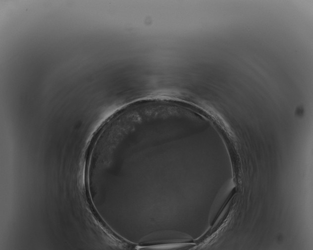X0000097991224200804011801