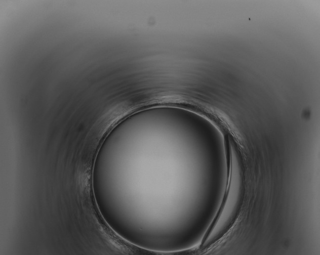 X0000097991225200804011801