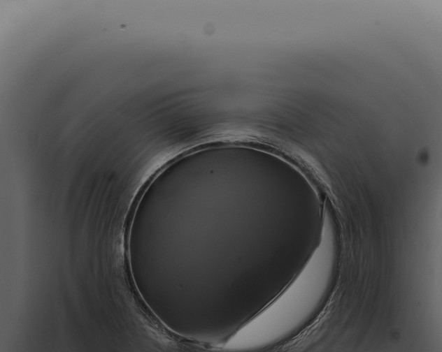 X0000097991226200804011801
