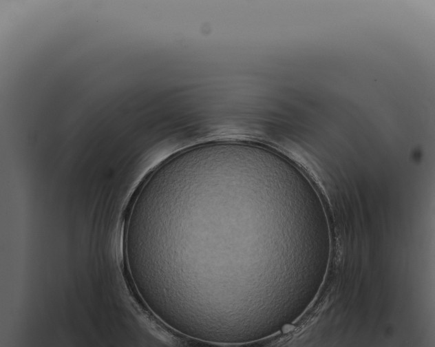 X0000097991227200804011801