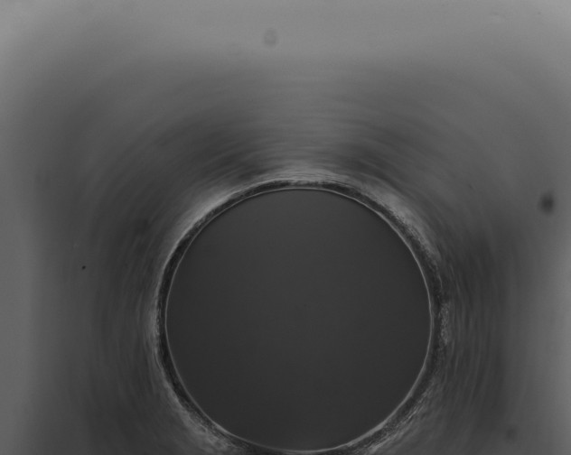 X0000097991229200804011801