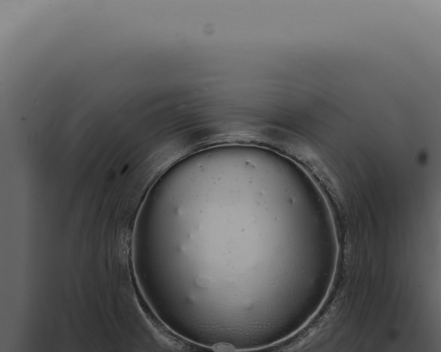 X0000097991233200804011801