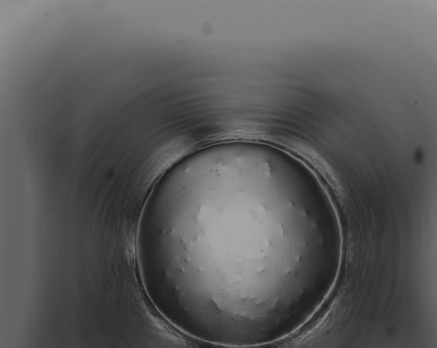 X0000097991241200804011801