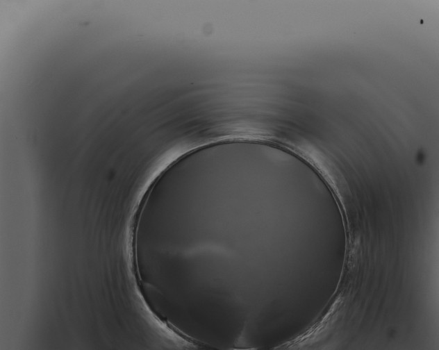 X0000097991243200804011801