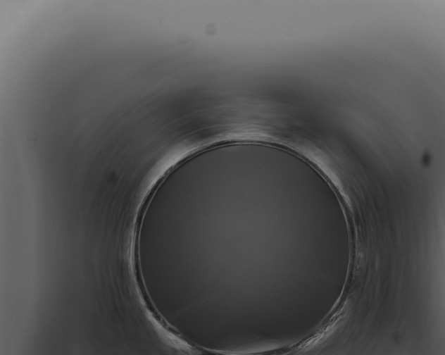 X0000097991245200804011801