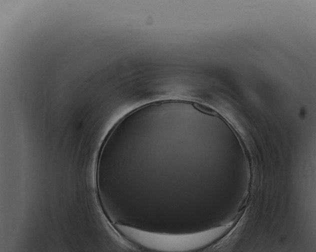 X0000097991246200804011801
