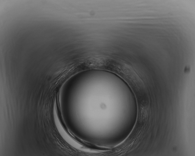 X0000097991250200804011800