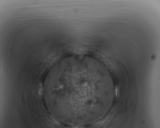X0000097991251200804011800