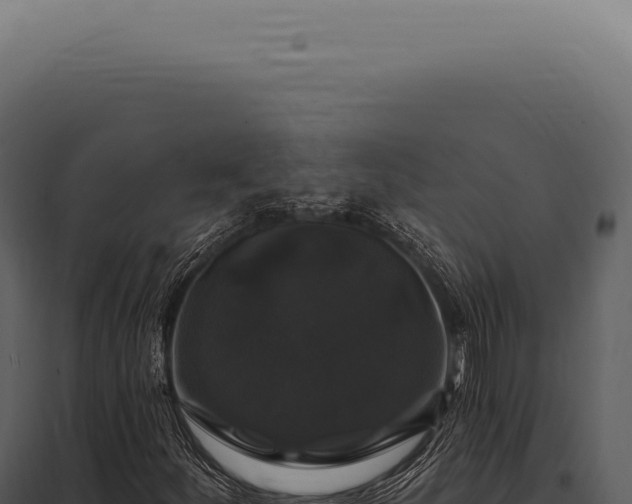 X0000097991252200804011800