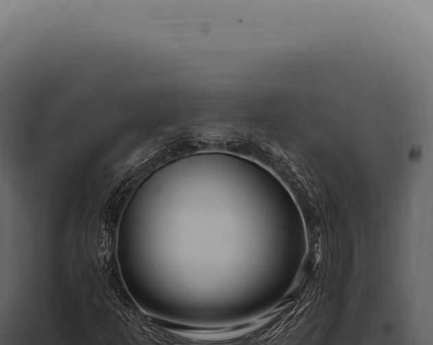 X0000097991253200804011800