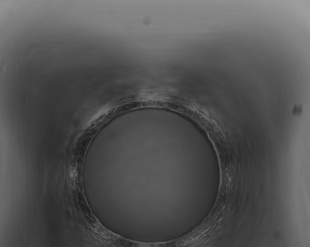 X0000097991254200804011800