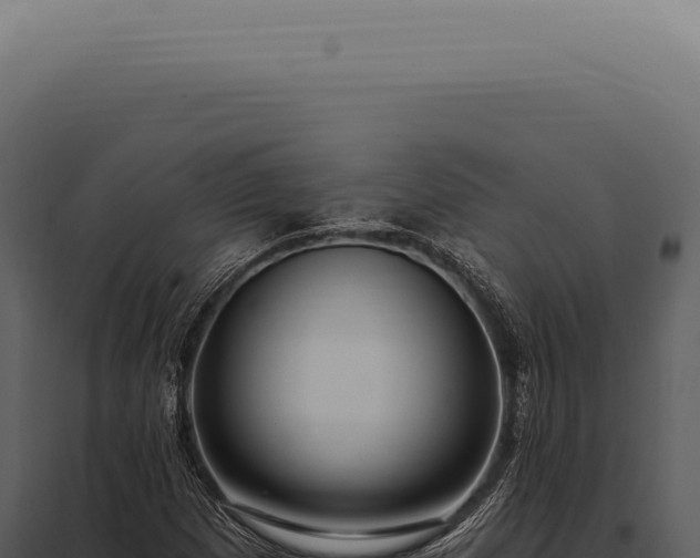 X0000097991257200804011800