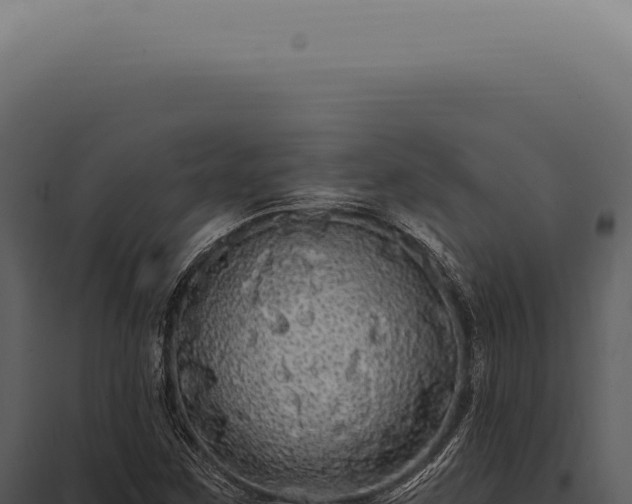 X0000097991259200804011800