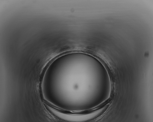 X0000097991260200804011800