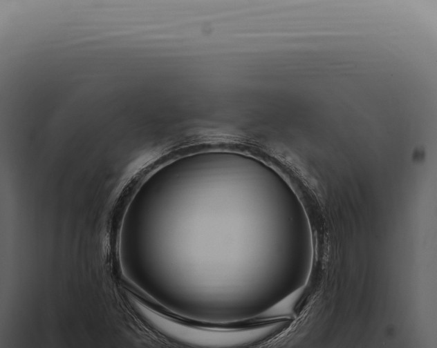 X0000097991261200804011800