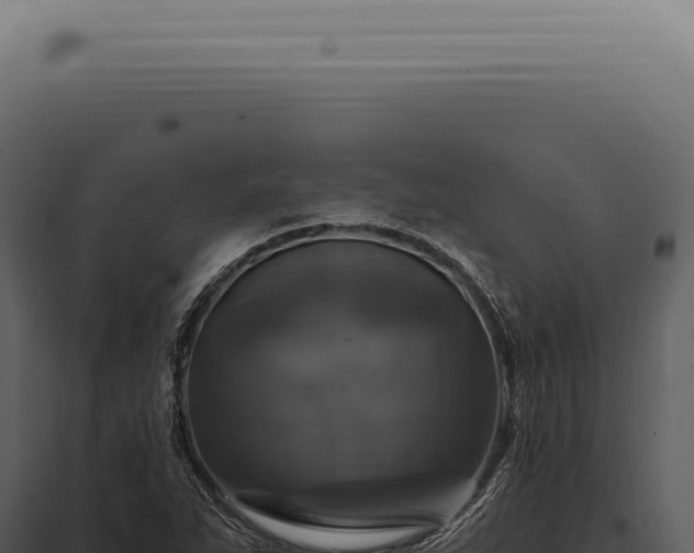 X0000097991263200804011800